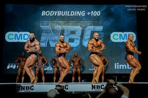 BODYBUILDING +100